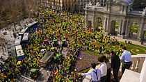 Agricultores espanhóis protestam em Madrid contra o aumento dos custos de produção