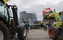 Protesta degli agricoltori in Francia