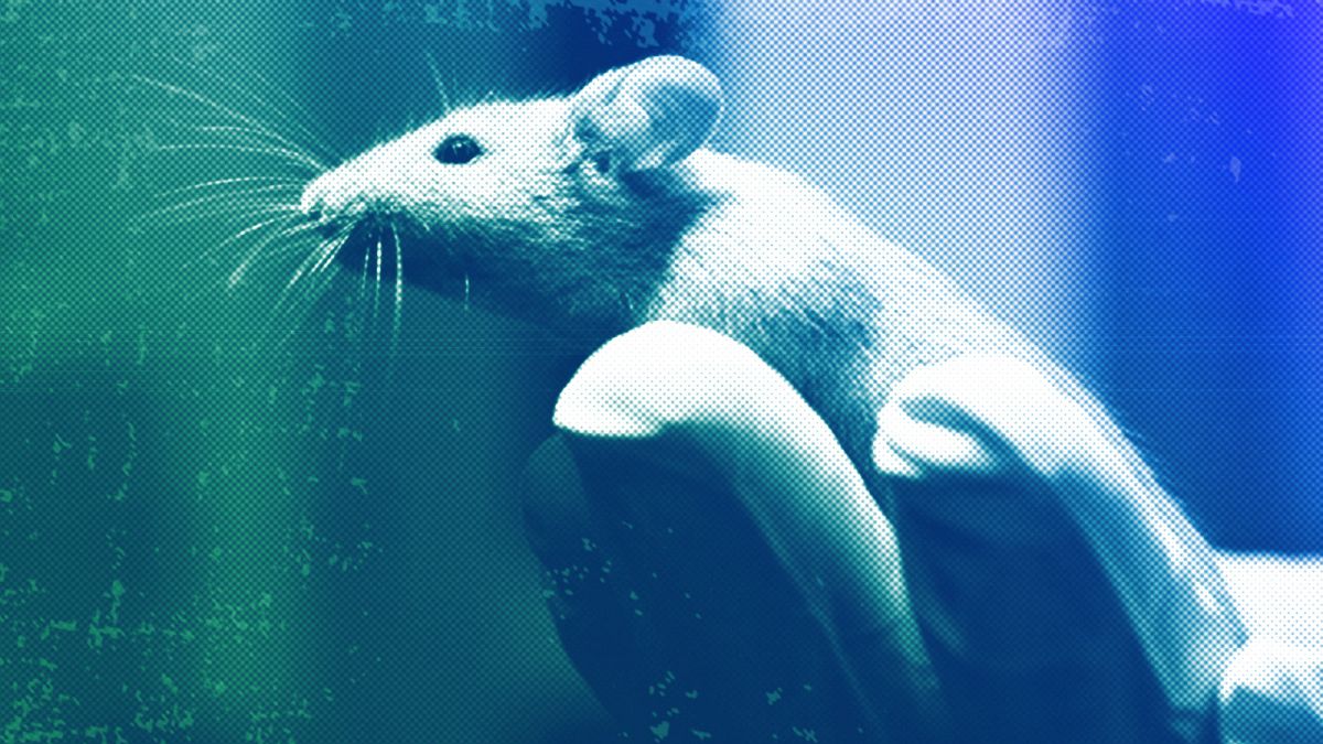 We should leave animals out of our war on cancer