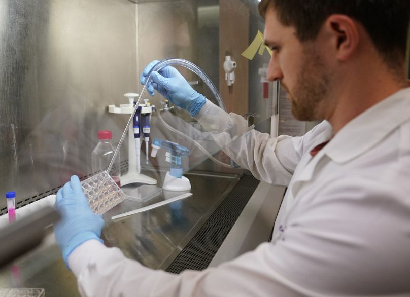 A researcher works on ovarian cancer cells being grown on a plastic plate at an institute in Seattle, May 2023