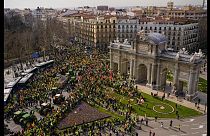 Протесты фермеров в Мадриде