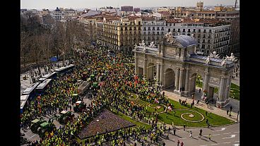 Протесты фермеров в Мадриде