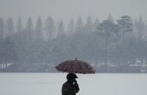 رجل يحتمي بمظلة من الثلوج في حديقة في جويانج، كوريا الجنوبية