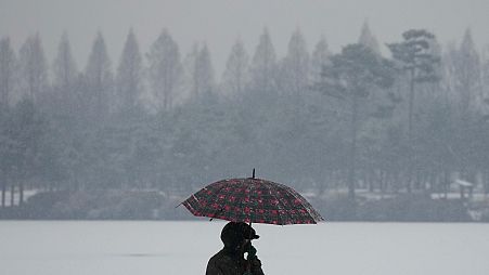 رجل يحتمي بمظلة من الثلوج في حديقة في جويانج، كوريا الجنوبية
