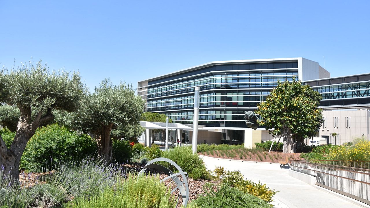 Europäische Themen für Dich gemacht Euronews