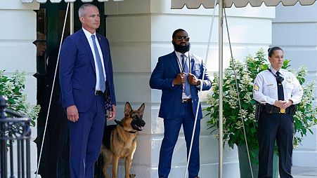 President Joe Biden's dog Commander