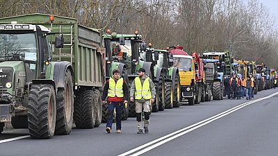 Traktoros tüntetés a Hodonín-Holíč határátkelőhelynél, Csehországban, 2024. február 22-én