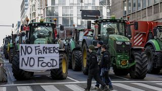 Die Vorschläge werden am kommenden Montag auf einer außerordentlichen Tagung der EU-Agrarminister erörtert.
