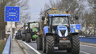 Czech farmers in tractors make their way to the Hodonín/Holíč, Czech-Slovakia border crossing, in Czech Republic, Feb. 22, 2024.