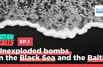 Ocean Calls podcast. Season 3 - Episode 1
