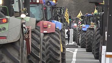 Des dizaines de tracteurs ont défilé vendredi dans les rues de Paris.