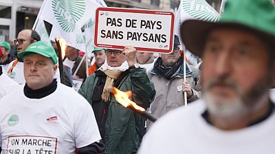 manifestazioni agricoltori a Parigi