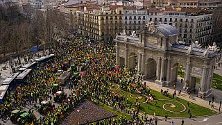 Bauernprotestaktion in Madrid, 21. Januar 2024.