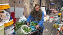 سكان غزة يتناولون الملوخية بسبب نقص الغذاء.