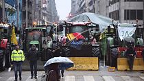 Agricultores de vários países europeus protestam em Bruxelas 
