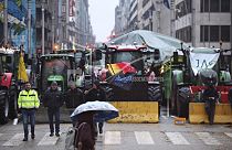 Agricultores de vários países europeus protestam em Bruxelas 