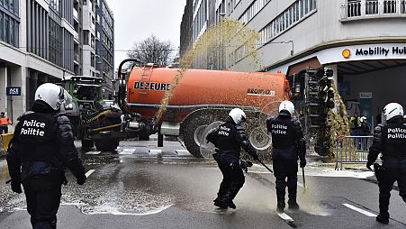 Фермер разбрасывает из цистерны навоз перед учреждениями Евросоюза в Брюсселе. Приближаются полицейские в касках.