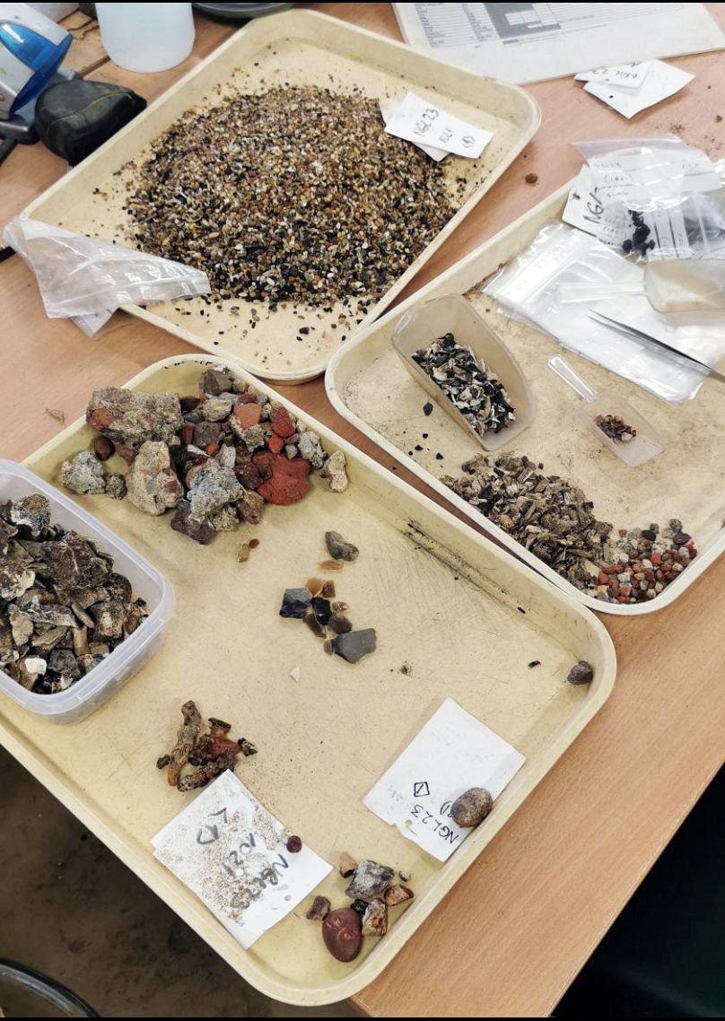 Trays of archaeological materials, including fragments of bone and orange and grey ceramic building material.