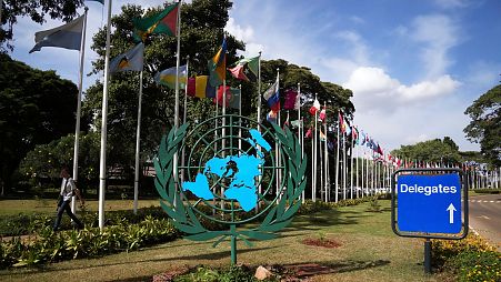 A person walks near flags at the United Nations Environment Programme headquarters in Nairobi, Kenya.