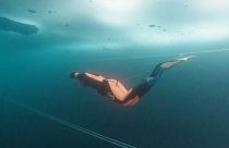 Valentina Cafolla bate recorde mundial de mergulho em apneia no gelo