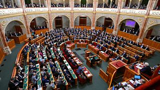 Hungarian lawmakers