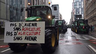 Belgium EU Agriculture