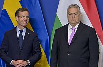 Премьер-министры Швеции и Венгрии Ульф Кристерссон и Виктор Орбан