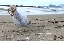 Message in a bottle: Italian finds Spanish child's sea-tossed note
