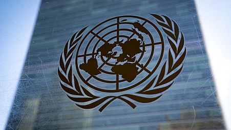 Birleşmiş Milletler logosu