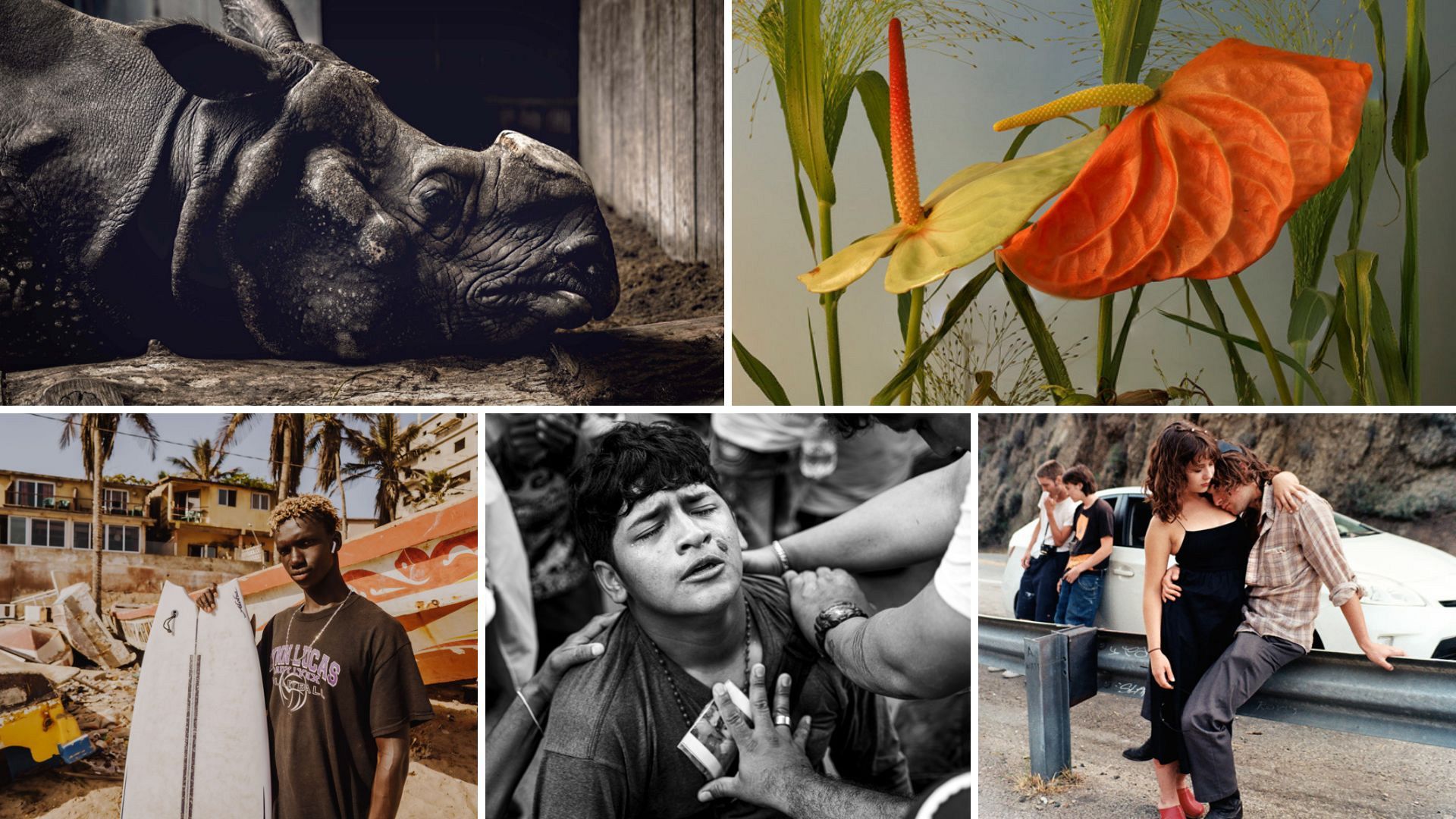 Captive rhinos to sacred pilgrimages: The best pictures from Sony World ...