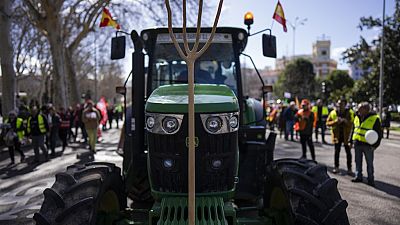 Испанские фермеры протестуют против "несправедливой конкуренции" 