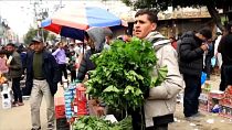 أحمد فياض يبيع نبات الخبيزة