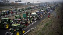 احتجاجات المزارعون في إسبانيا