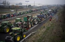 احتجاجات المزارعون في إسبانيا