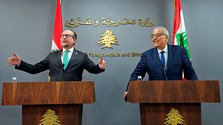 وزير الخارجية النمساوي ألكسندر شالنبرغ، على اليسار، مع نظيره اللبناني عبد الله بوحبيب في بيروت، لبنان، الخميس 29 فبراير 2024. 