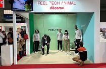 People testing NTT Docomo's Feel Tech Animal VR experience.