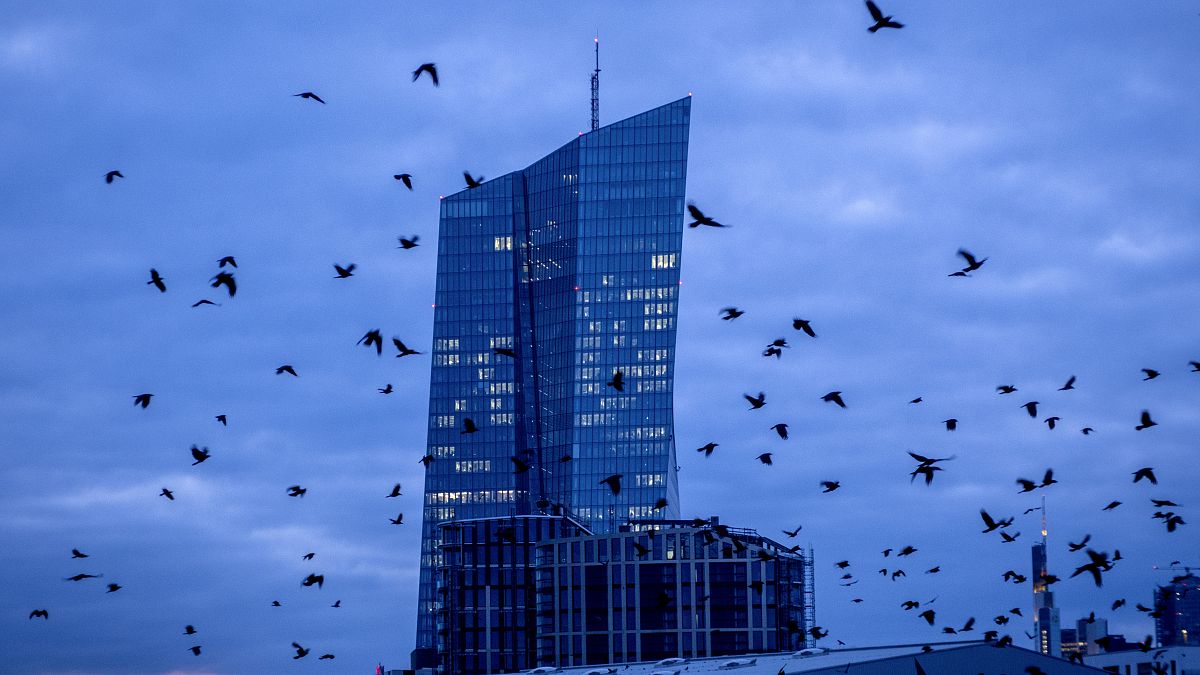Crows fly in front of the European Central Bank in Frankfurt, Germany, on Feb. 26, 2024.
