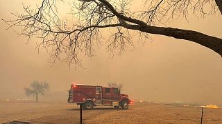 آتش‌سوزی جنگلی در ایالت تگزاس آمریکا