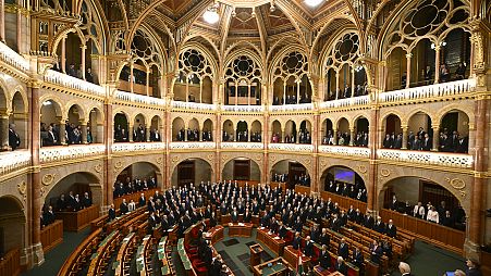 Legislação foi aprovada no parlamento húngaro em dezembro do ano passado