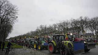 Tractors are parked during a protest, near the Chateau de Versailles, outside Paris, Friday, March 1, 2024 Angry farmers demand more government support and simpler regulations
