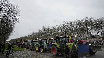 Tractors are parked during a protest, near the Chateau de Versailles, outside Paris, Friday, March 1, 2024 Angry farmers demand more government support and simpler regulations
