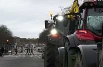 In Frankreich sind bei Bauernprotesten 66 Landwirte festgenommen worden. 