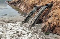 عکس تزئینی از ورود مواد شیمیایی به رودخانه
