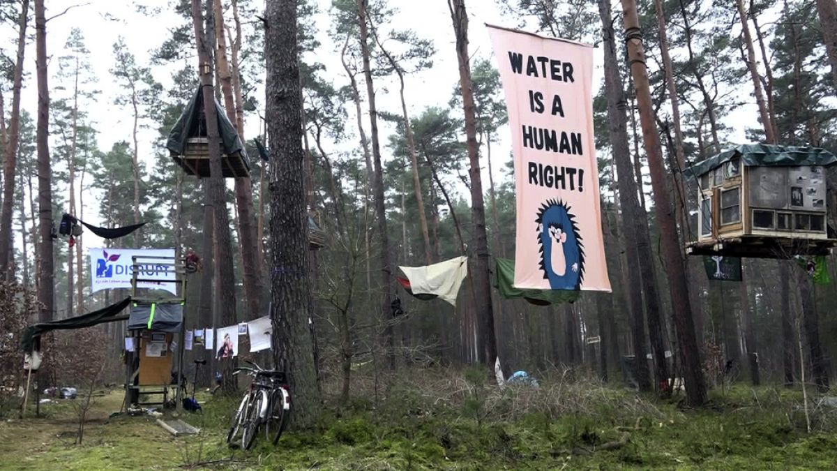 Ambientalisti occupano un'area della foresta di Gronheide, vicino a Berlino, venerdì 1 marzo 2024