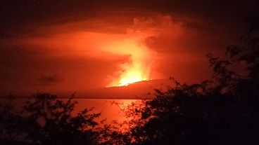 In this photo released by Galapagos National, La Cumbre volcano erupts at Fernandina Island, in Galápagos Islands, Ecuador. 3 March, 2024. 