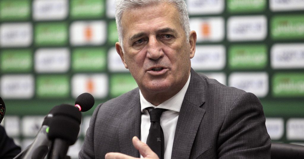 Algeria: Vladimir Petkovic ready for new challenge as head coach