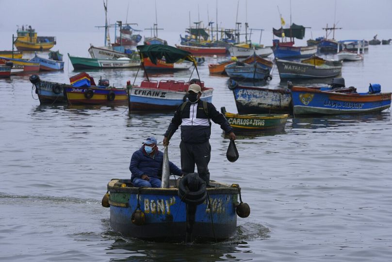 Au Pérou, un pêcheur dans les eaux contaminées par le pétrole d'une marée noire, à Ancón, janvier 2022.