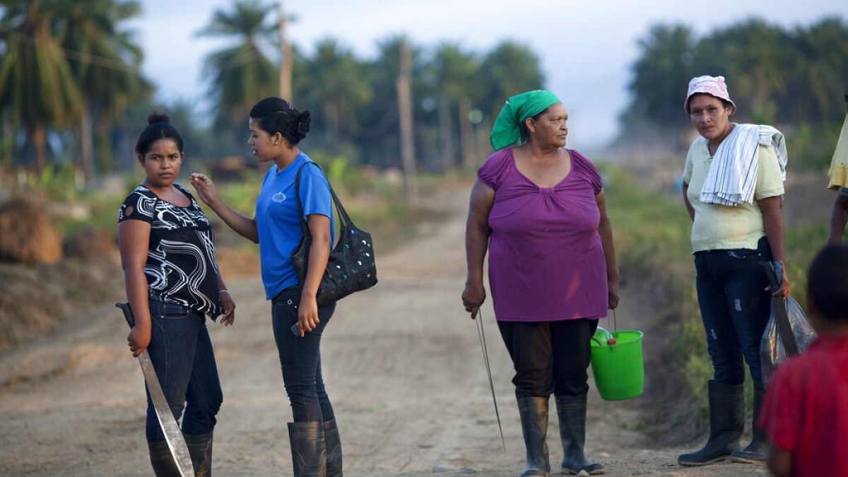 Борбата с неравенството между половете е от решаващо значение за справяне с климатичната криза, казва ООН