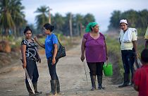 In this May 7, 2012 photo, women, with machetes in hand, wait for a truck to drive them to their work areas of their African palm tree plantation in La Confianza, Honduras.