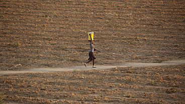 Una mujer camina por un sendero en un campo desierto en Zvimba, zona rural de Zimbabwe, el 26 de junio de 2021.